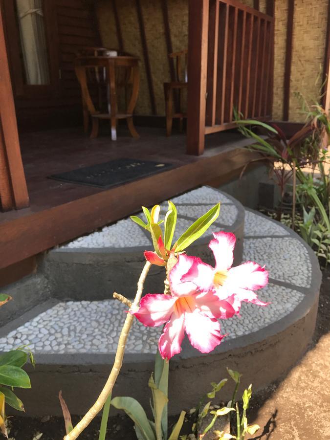 Meno Madia Bungalows Gili Meno Extérieur photo